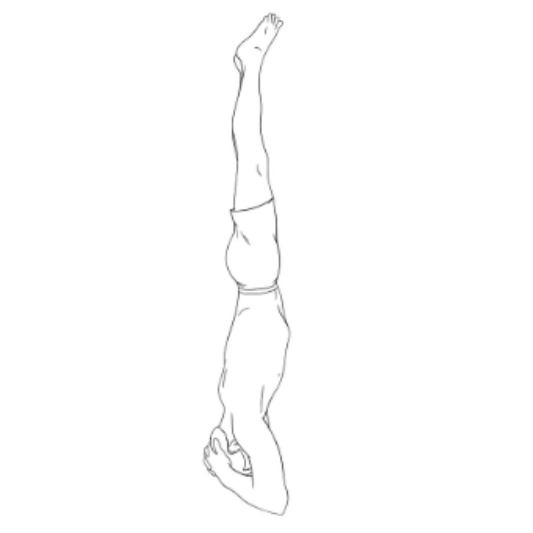 Headstand illustration