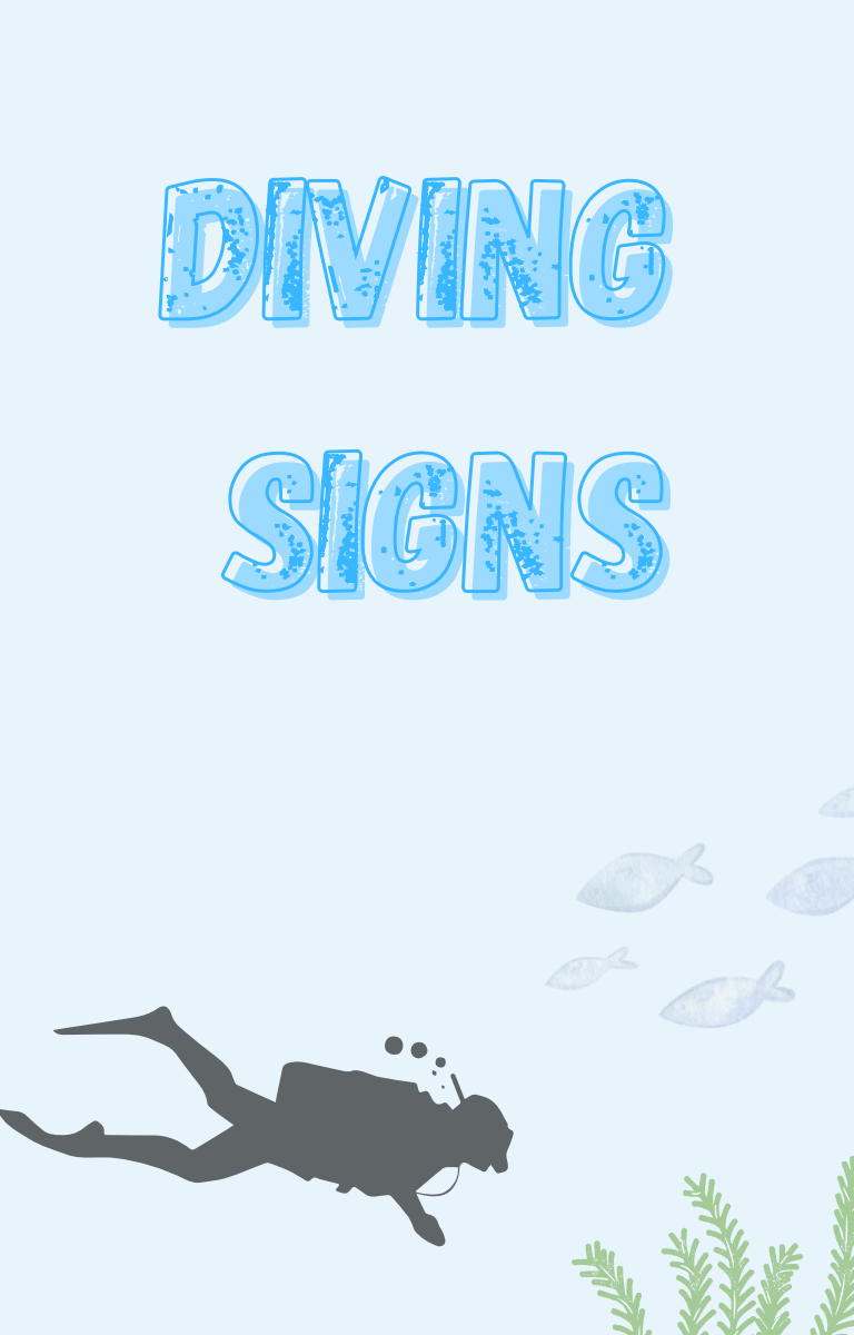 Diving Signals Free Guide