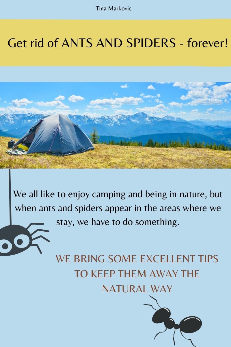 Get rid of ANTS AND SPIDERS - forever!