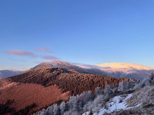 IMG_3218 2
